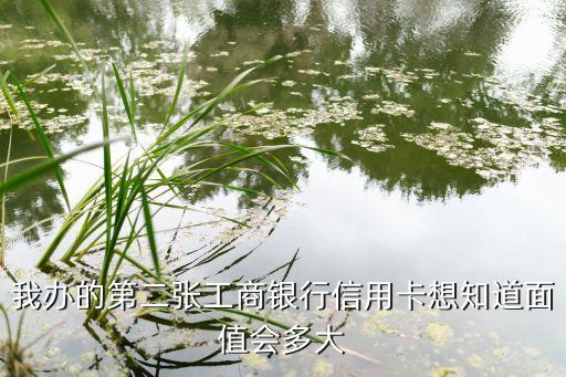 我辦的第二張工商銀行信用卡想知道面值會(huì)多大