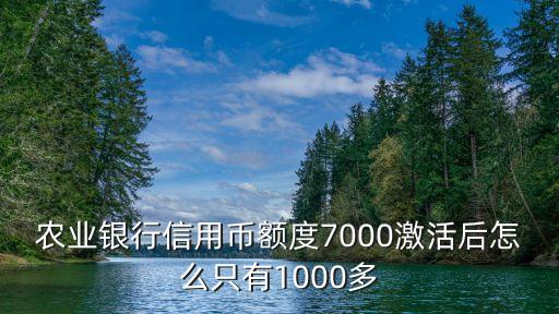 農(nóng)業(yè)銀行信用幣額度7000激活后怎么只有1000多