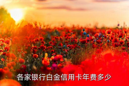 北京銀行白金卡年費多少錢，北京銀行信用卡年費收取標準與免年費是多少