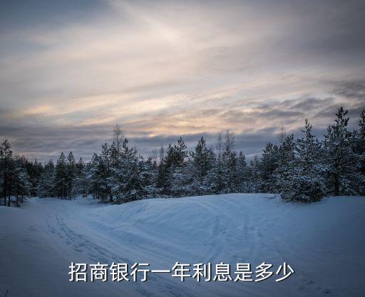 招商銀行一年利息是多少
