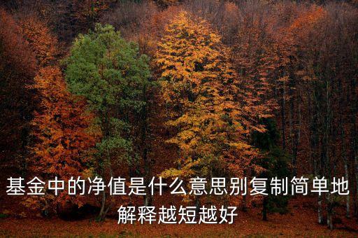 凈值報價是什么意思，股票的凈值價格 和增發(fā)價格分別是什么意思呢