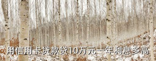 用信用卡貸款貸10萬元一年利息多高