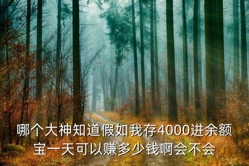 哪個大神知道假如我存4000進(jìn)余額寶一天可以賺多少錢啊會不會