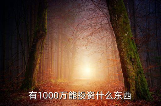 1000萬(wàn)現(xiàn)金 投資什么，有1000萬(wàn)能投資什么東西