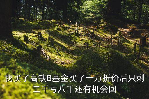 我買了高鐵B基金買了一萬折價后只剩二千虧八千還有機會回