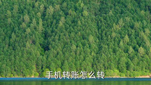 手機(jī)轉(zhuǎn)賬什么轉(zhuǎn)，我想用手機(jī)轉(zhuǎn)賬怎么轉(zhuǎn)