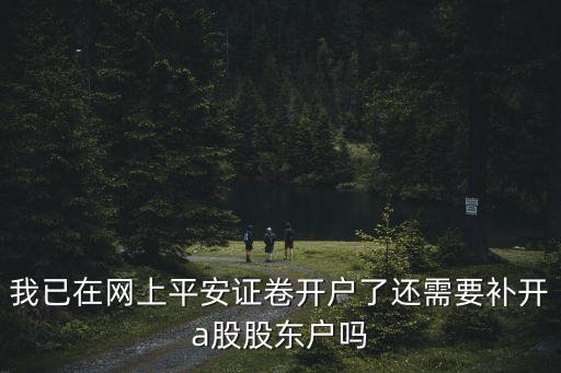 我已在網(wǎng)上平安證卷開戶了還需要補(bǔ)開a股股東戶嗎