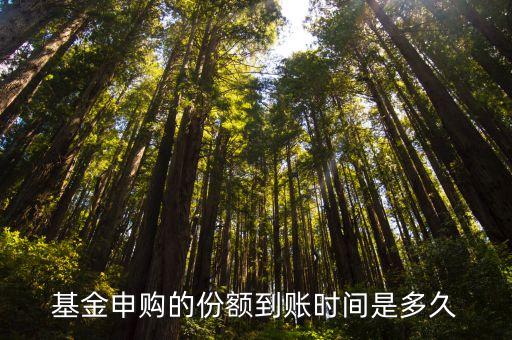 基金申購(gòu)的份額到賬時(shí)間是多久