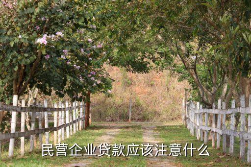 民營企業(yè)貸款應該注意什么