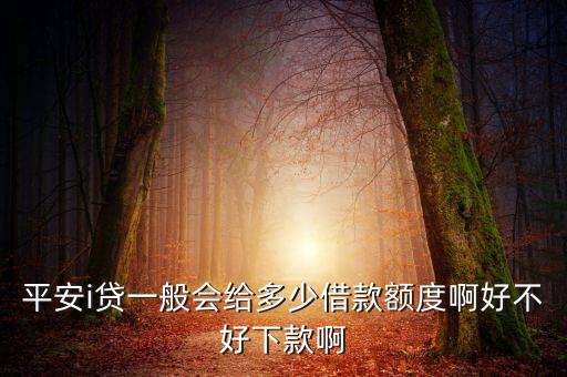 平安i貸一般會(huì)給多少借款額度啊好不好下款啊