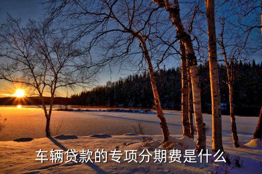 車輛貸款的專項分期費是什么