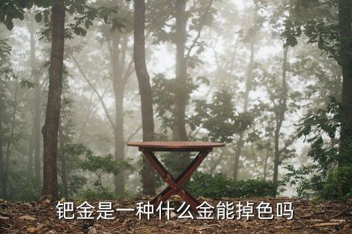 鈀金是什么金值多少錢(qián)，鈀金是什么