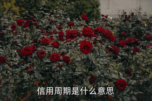 信用周期是什么意思
