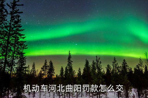 機動車河北曲陽罰款怎么交