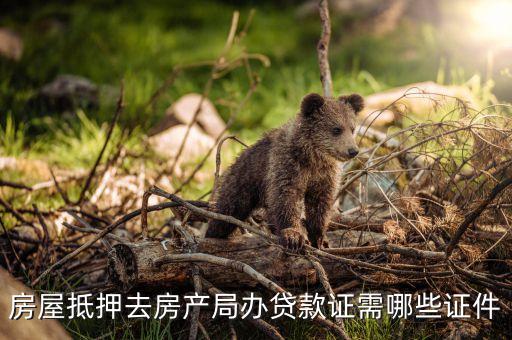 房屋抵押去房產(chǎn)局辦貸款證需哪些證件