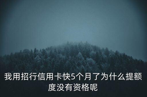 我用招行信用卡快5個月了為什么提額度沒有資格呢