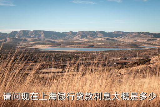 請問現在上海銀行貸款利息大概是多少