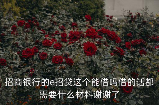 e招貸需要什么條件，招商銀行的e招貸這個能借嗎借的話都需要什么么材料謝謝
