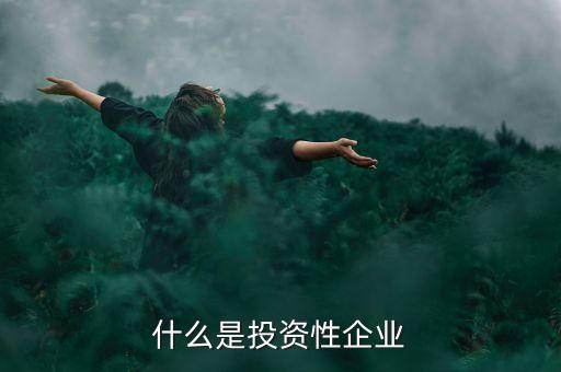什么是投資性企業(yè)