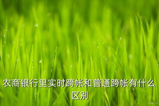農(nóng)商銀行里實(shí)時(shí)跨帳和普通跨帳有什么區(qū)別