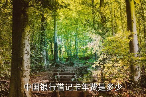 中國銀行借記卡年費(fèi)是多少