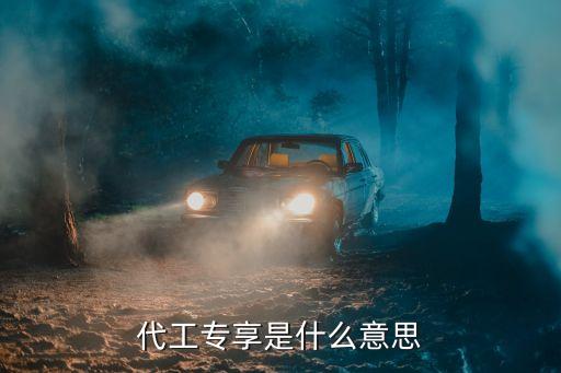 代工專享是什么意思