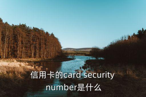 信用卡安全認(rèn)證碼是干什么用的，信用卡的card security number是什么