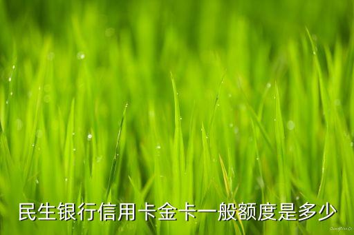 民生銀行信用卡金卡一般額度是多少