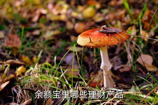 余額寶買(mǎi)什么理財(cái)產(chǎn)品，余額寶怎么選收益更高的