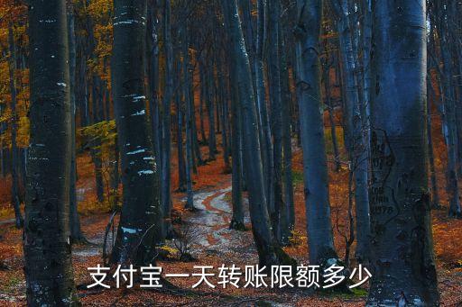 支付寶一天轉(zhuǎn)賬限額多少