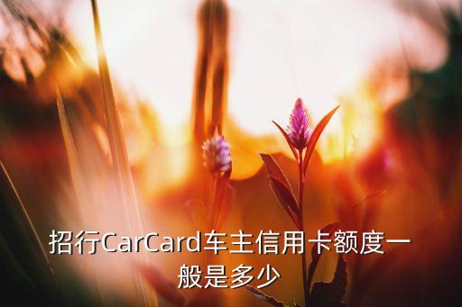 招行CarCard車主信用卡額度一般是多少