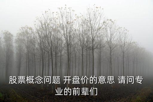 什么叫股市開(kāi)盤(pán)價(jià)，股票開(kāi)盤(pán)價(jià)是什么意思