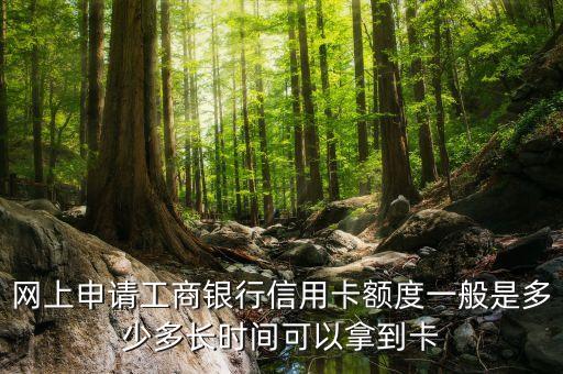工商銀行信用卡網(wǎng)申額度多少，網(wǎng)申工商銀行信用卡額度是多少