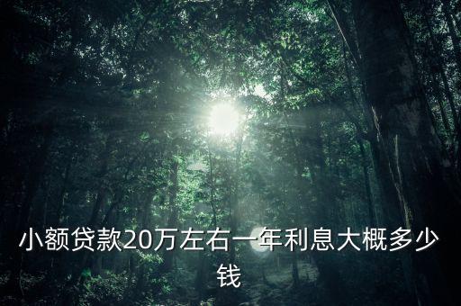 小額貸款20萬左右一年利息大概多少錢