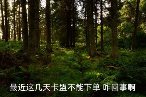 最近這幾天卡盟不能下單 咋回事啊