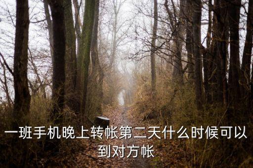 一班手機(jī)晚上轉(zhuǎn)帳第二天什么時(shí)候可以到對(duì)方帳
