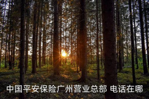 中國(guó)平安保險(xiǎn)廣州營(yíng)業(yè)總部 電話在哪