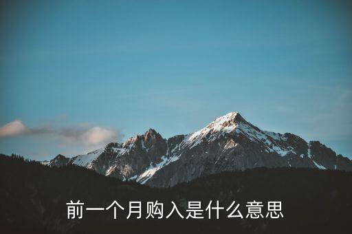 前一個月購入是什么意思