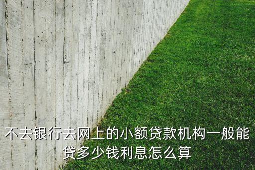 小額貸款網(wǎng)上能貸多少錢，我是第一次申請大學(xué)生小額借貸不知道一般可以申請多少錢呢  搜