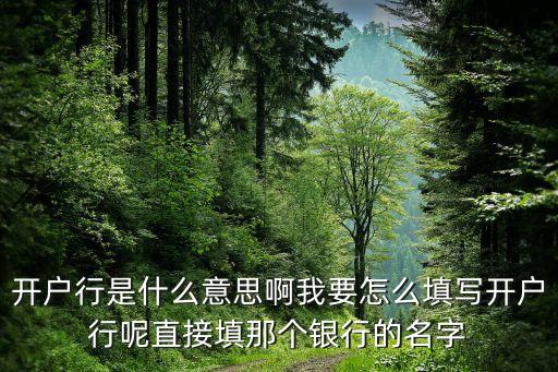 開戶行是什么意思啊我要怎么填寫開戶行呢直接填那個銀行的名字