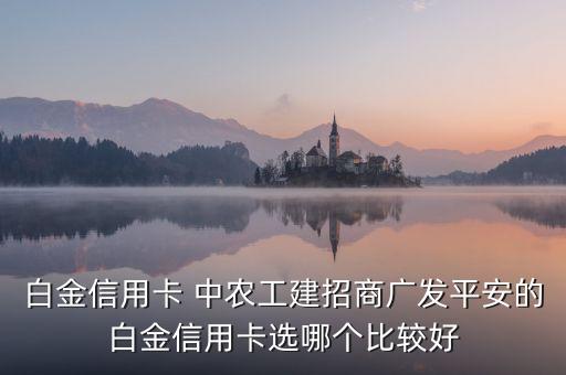 白金信用卡 中農(nóng)工建招商廣發(fā)平安的白金信用卡選哪個(gè)比較好