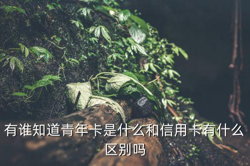 有誰(shuí)知道青年卡是什么和信用卡有什么區(qū)別嗎