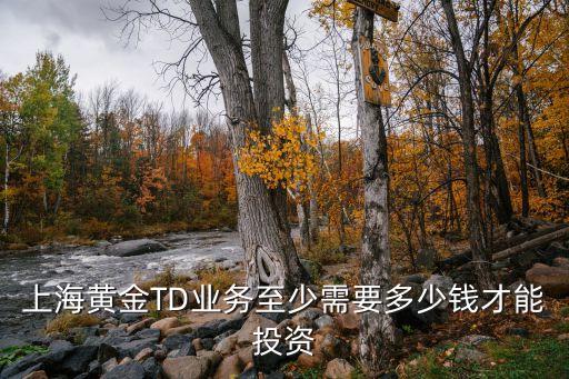 開通黃金td要多少錢，上海黃金TD業(yè)務(wù)至少需要多少錢才能投資