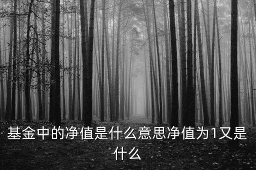基金中的凈值是什么意思凈值為1又是什么