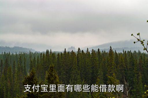 支付寶里面有哪些能借款啊