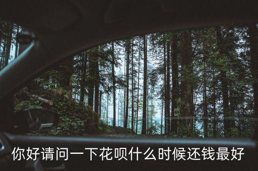 什么時候還花唄劃算，你好請問一下花唄什么時候還錢最好