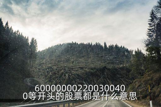 600000002200300400等開頭的股票都是什么意思
