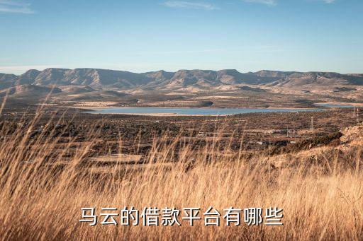 馬云的借款平臺(tái)有哪些