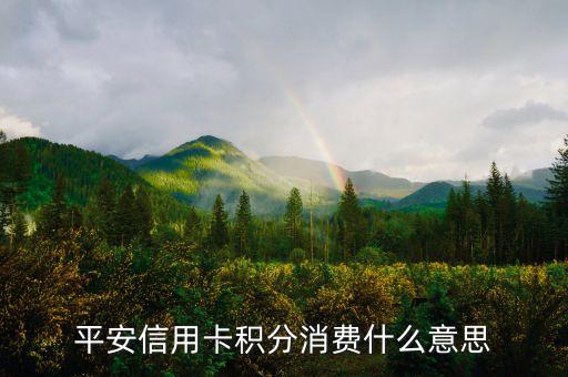 平安信用卡積分消費(fèi)什么意思