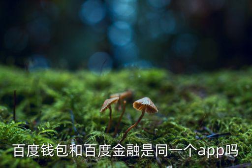 百度金融跟百度錢包是什么關(guān)系，百度金融與百度錢包什么關(guān)系